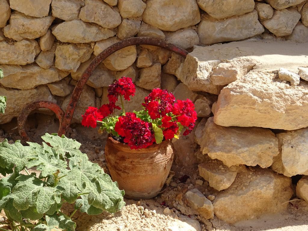 Cortijo Romero Venta de Micena Exterior foto